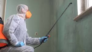 Best Basement Mold Removal  in Huntington Station, NY