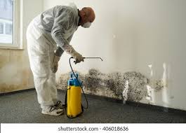 Best Emergency Mold Remediation  in Huntington Station, NY